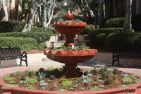 Gallery Photo of More Succulent Fountain