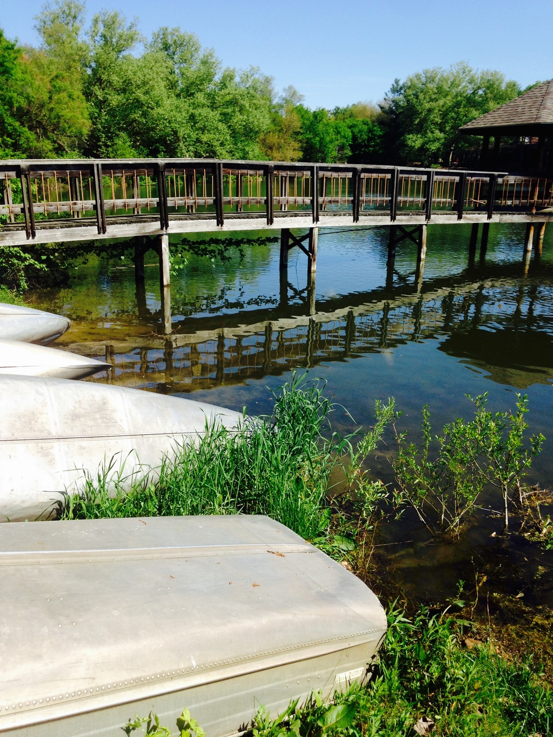 Gloria Taggett, Psychologist, Kalamazoo, MI, 49008 Psychology Today