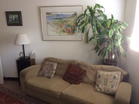 Gallery Photo of Our comfortable "therapist's couch"