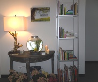 Gallery Photo of Part of our Skylight library and our fish tank