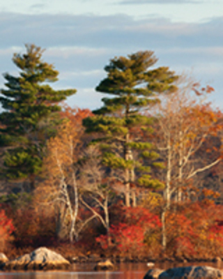 Photo of Classen-Miller and Associates, Clinical Social Work/Therapist in North Bethesda, MD