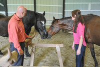 Gallery Photo of Equine assisted therapy is used to help clients learn more about themselves and others by participating in guided activities with the horses.