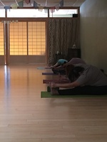 Gallery Photo of Yoga therapy group