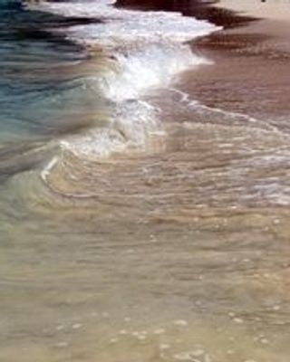 Photo of Phyllis Z Levy, Clinical Social Work/Therapist, MSW, LCSW