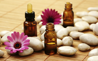 Gallery Photo of In aromatherapy, the practitioner will apply a carefully-considered selection of essential oils during massages or meditation