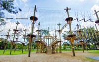 Gallery Photo of The objective of participating in the ropes course is to focus on positive achievements and learning to confront personal fears and anxieties.