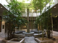Gallery Photo of Courtyard