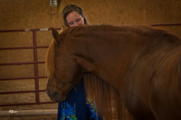Gallery Photo of Campechano validating Emily's authenticity.  Horses are drawn to authenticity and demonstrate it by wanting to be close to anyone that is authentic.