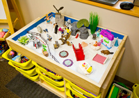 Gallery Photo of sand tray