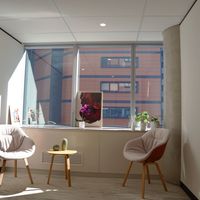Gallery Photo of Light-filled, modern therapy rooms 3