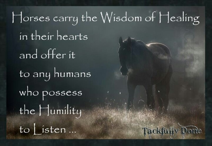 Our belief in the power of horses to heal.
