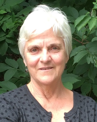 Photo of Diane Tetrault, MA, LCMHC, Counselor