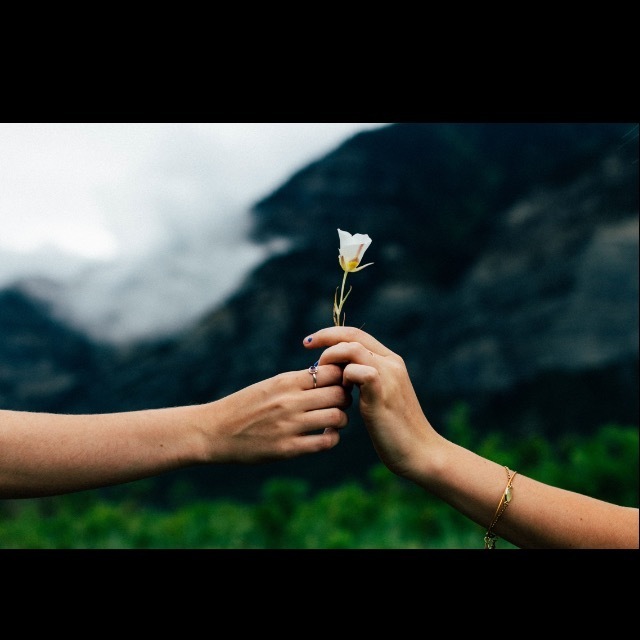 Dr. Immigration Evaluations Jimenez, MA, PhD, Psychologist, Houston, TX