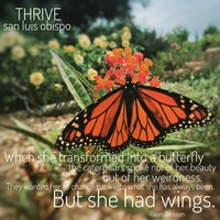 Gallery Photo of You have the most magical wings! Surround yourself with ones who see and love you for your beauty - inside and out! Find supportive therapy at Thrive.