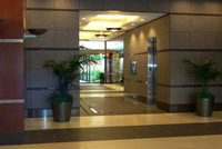 Gallery Photo of Office elevator