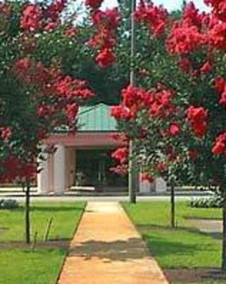Photo of Fraser Counseling Center, Licensed Professional Counselor in Hinesville, GA