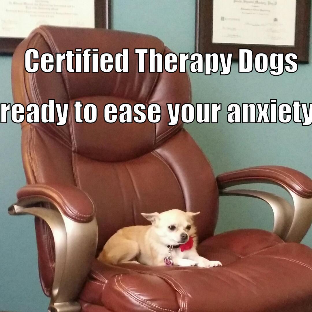 Shantel Mackey, Psychologist, Midland, TX, 79703 Psychology Today