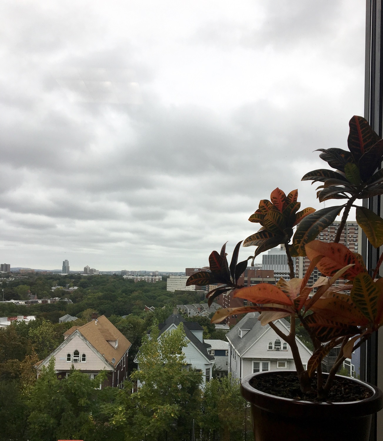 Claudio Toppelberg, Psychiatrist, Boston, MA, 02120 Psychology Today