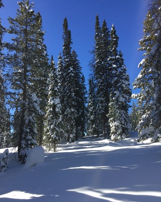 Photo of René White, Licensed Professional Counselor in East Boulder, Boulder, CO