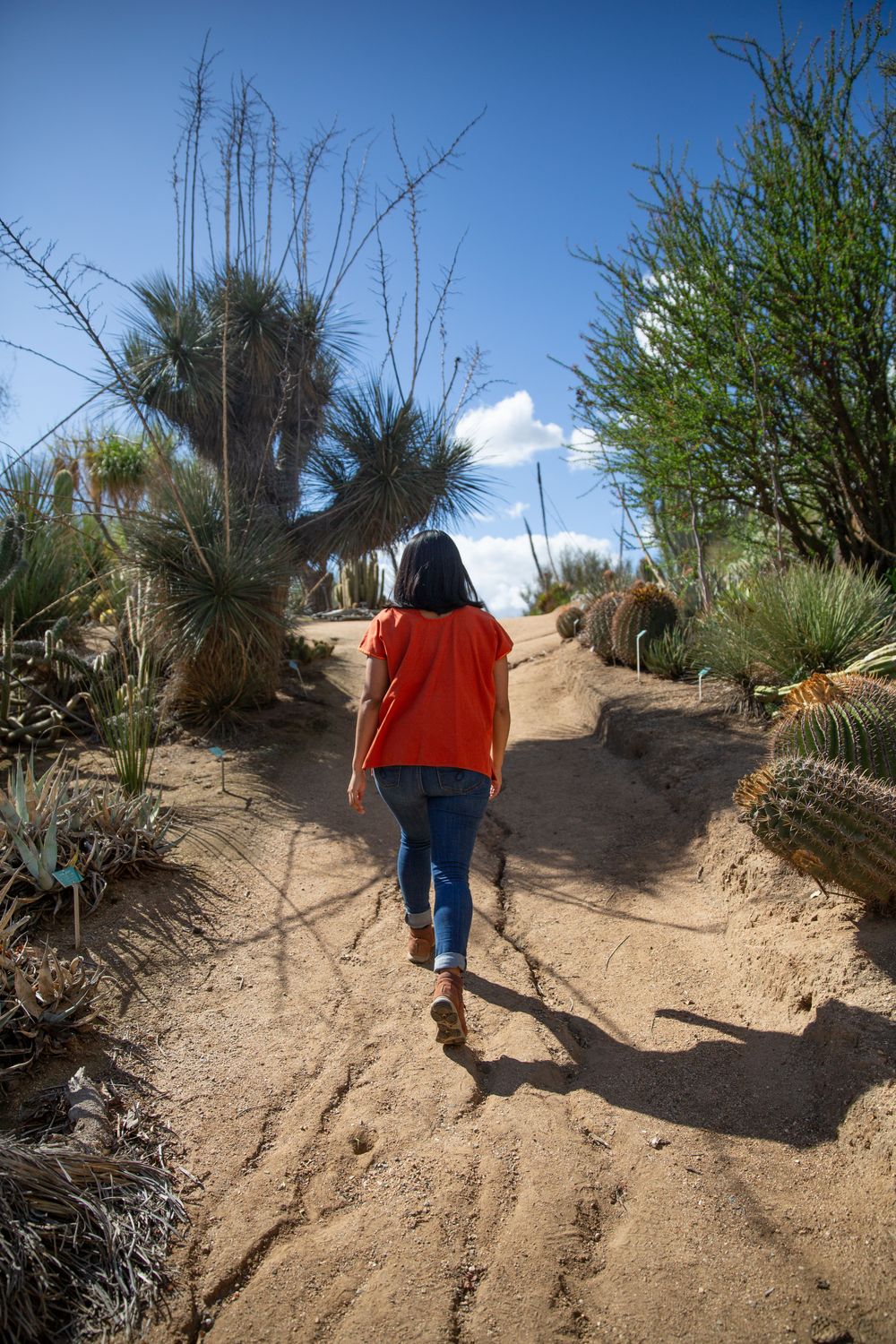 Embracing Nature as our guide. Join us on a journey of mind-body-heart wellness. Bilingual services available.