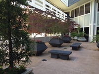 Gallery Photo of Our office courtyard.