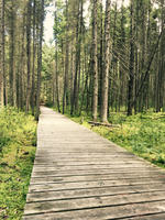 Gallery Photo of Choose your path.