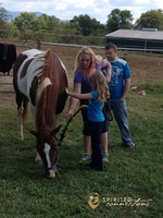 Gallery Photo of Equine assisted therapy with families