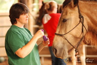 Gallery Photo of Building relationships; expressive arts and horses