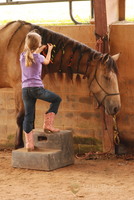 Gallery Photo of Working with horses builds confidence and self esteem
