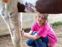 Gallery Photo of Working with horses builds emotional awareness and emotional regulation skills