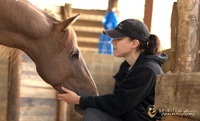 Gallery Photo of Working with horses is good for the soul