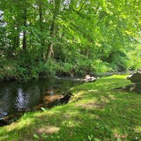 Gallery Photo of We also have a brook that runs behind our office if you are looking to enjoy a few quiet moments.
