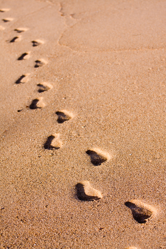 Therapy is a great way to move forward one tiny step at a time to improve your life!