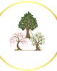 Photo of Three Trees Counseling, Group Practice