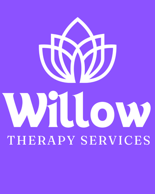 Photo of Ashlee Allan - Willow Therapy Services, Clinical Social Work/Therapist, CSW