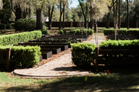 Gallery Photo of Garden beds organically grown by our master gardener