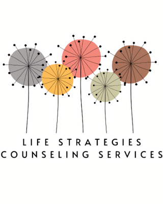 Photo of Life Strategies Counseling Services PLLC, Clinical Social Work/Therapist in Rochester, NY