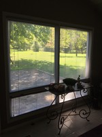 Gallery Photo of A peaceful view from My Therapy Room.