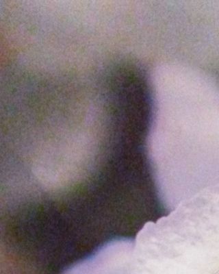 Photo of Sherry Hills, Psychologist, PsyD, MA