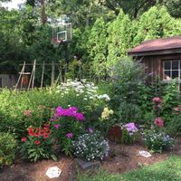 Gallery Photo of My garden is my sanctuary, and also where I hold Sisterhood Circles, workshops and individual sessions.  We incorporate the plants into the sessions. 