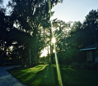 Gallery Photo of The sun peeking through the trees in front of our facility