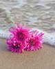 Ocean Counseling and Wellness, LLC
