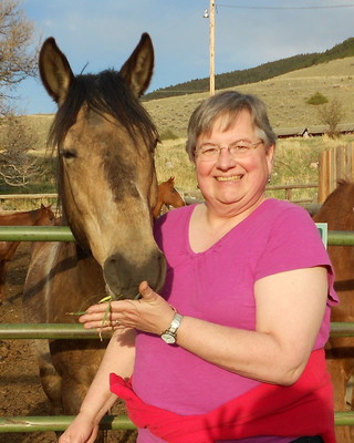 Photo of Anne R Harris, Counselor in Sanders County, MT