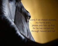 Gallery Photo of Horses "carry" us both physically and emotionally in the best of times and in the worst of times.