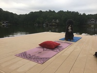 Gallery Photo of Morning yoga anyone?  Eli is rather proficient at downward facing dog and he has a pretty good up-dog too!