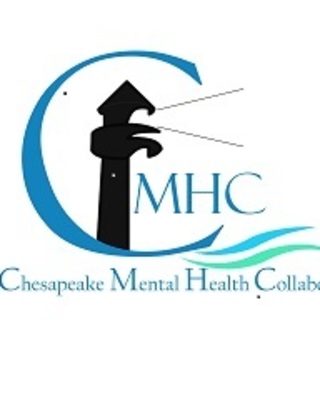 Photo of Heidi Schreiber-Pan - Chesapeake Mental Health Collaborative, PhD, LCPC, NCC, Counselor