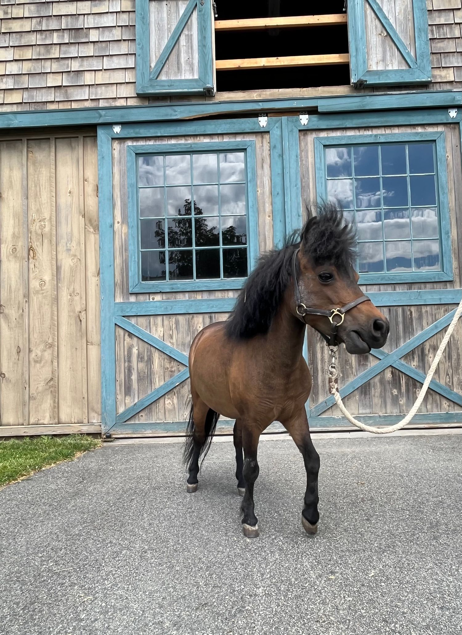 Topfield Equestrian Center