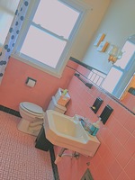 Gallery Photo of Vintage PINK bathroom