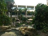 Gallery Photo of Relaxing atrium inside building