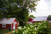 Gallery Photo of Farm Out-buildings